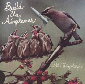ALL THINGS EXPIRE | VINYL RECORD (LP)
