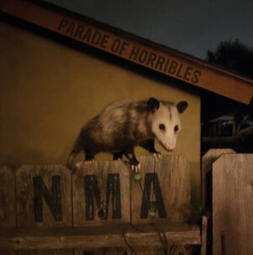 NMA | VINYL RECORD (LP)