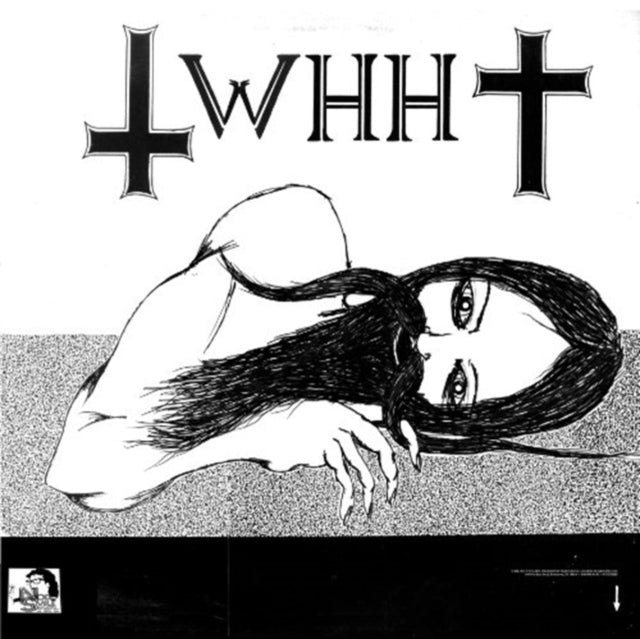 20 GUILDERS/WE HAVE HEAVEN | SPLIT LP | VINYL RECORD (LP)