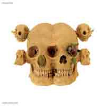 KOHOUTEK | LOSSLESS LOSS | VINYL RECORD (LP)