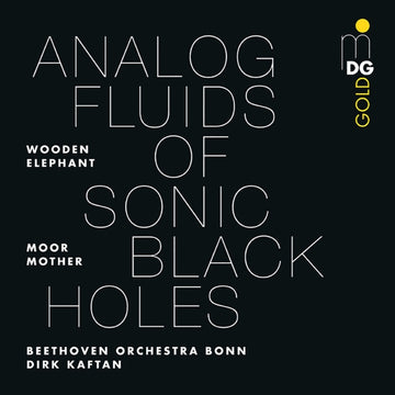 ANALOG FLUIDS OF SONIC BLACK HOLES | VINYL RECORD (LP)