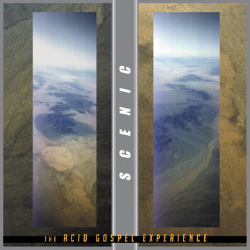 ACID GOSPEL EXPERIENCE (2LP/TRANSLUCENT ICE GREEN VINYL) | VINYL RECORD (LP)