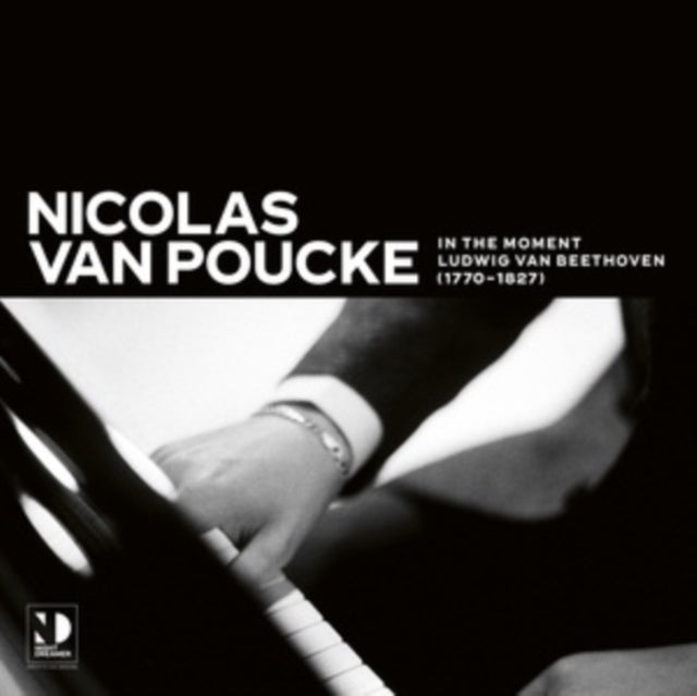 VAN POUCKE, NICOLAS | IN THE MOMENT | VINYL RECORD (LP)