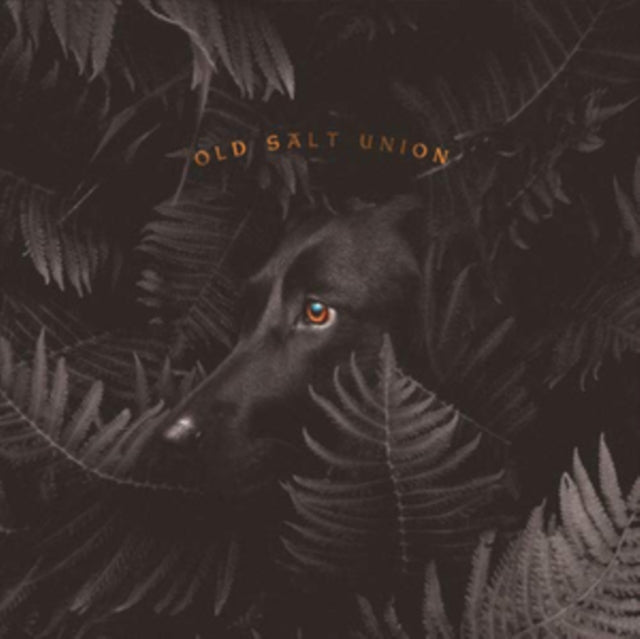 OLD SALT UNION | WHERE THE DOGS DON'T BITE | VINYL RECORD (LP)