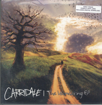 WANDERING | 7IN VINYL