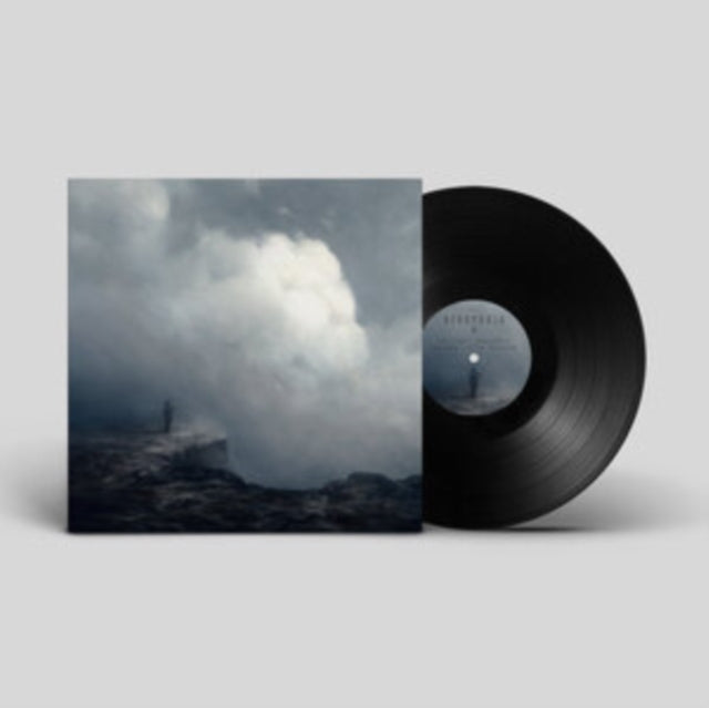 OFDRYKKJA | AFTER THE STORM | VINYL RECORD (LP)