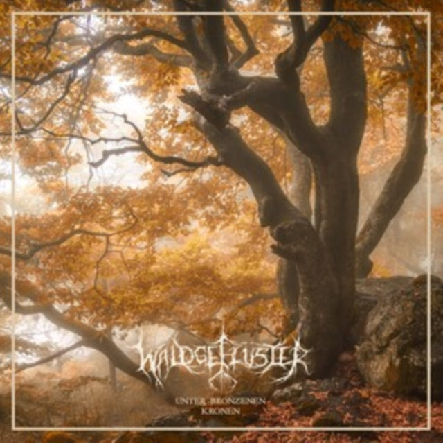 WALDGEFLUSTER | UNTER BRONZENEN KRONEN | VINYL RECORD (LP)