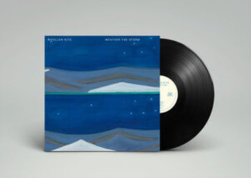 WEATHER THE STORM | VINYL RECORD (LP)