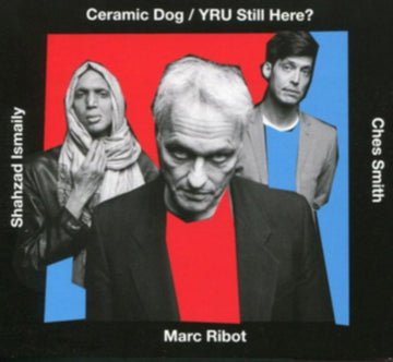 YRU STILL HERE? | VINYL RECORD (LP)