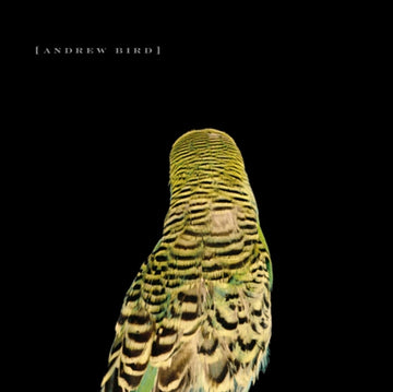 BIRD, ANDREW | ARMCHAIR APOCRYPHA | VINYL RECORD (LP)