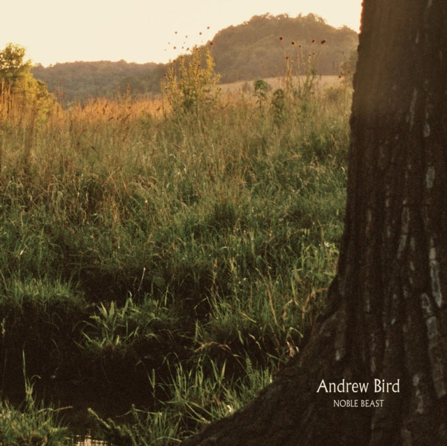 BIRD, ANDREW | NOBLE BEAST | VINYL RECORD (LP)