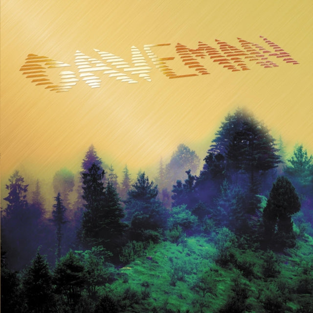 CAVEMAN | CAVEMAN | VINYL RECORD (LP)
