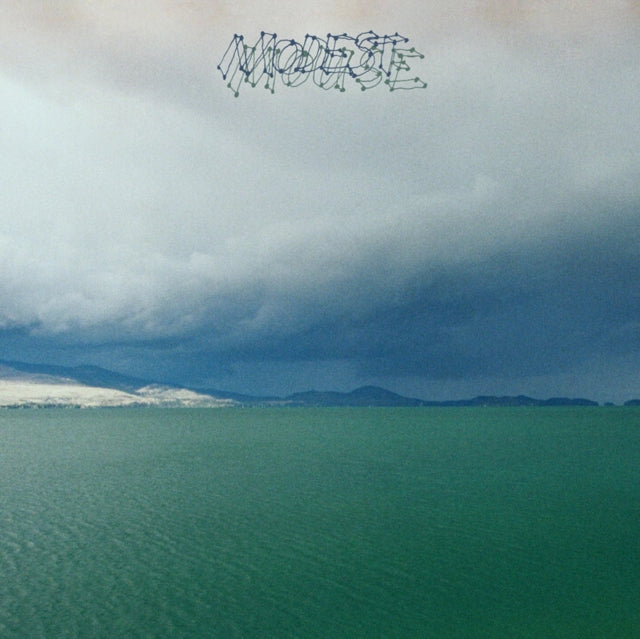 MODEST MOUSE | FRUIT THAT ATE ITSELF | VINYL RECORD (LP)
