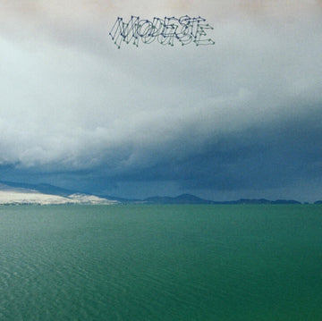 MODEST MOUSE | FRUIT THAT ATE ITSELF | VINYL RECORD (LP)