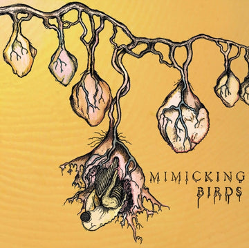 MIMICKING BIRDS | MIMICKING BIRDS | VINYL RECORD (LP)