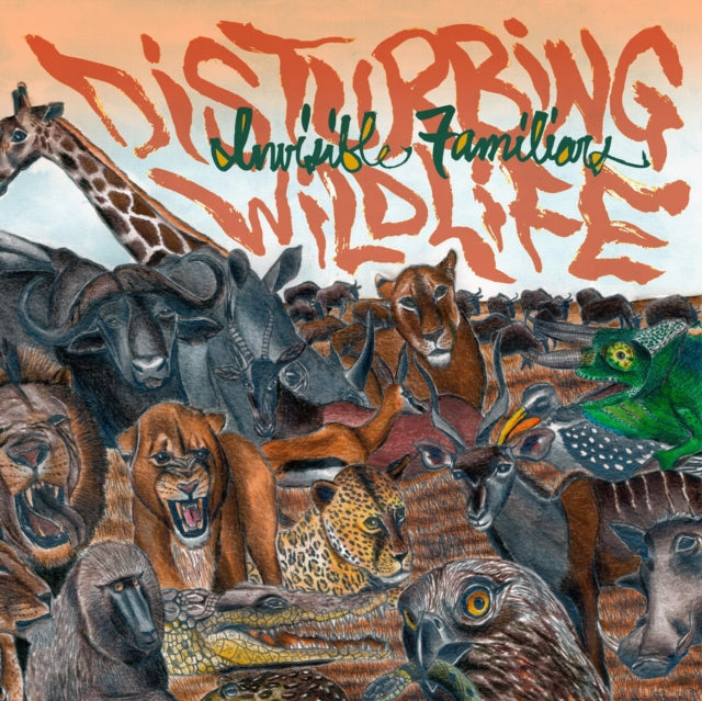 INVISIBLE FAMILIARS | DISTURBING WILDLIFE | VINYL RECORD (LP)