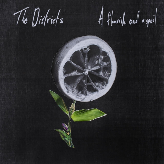 DISTRICTS | FLOURISH AND A SPOIL | VINYL RECORD (LP)