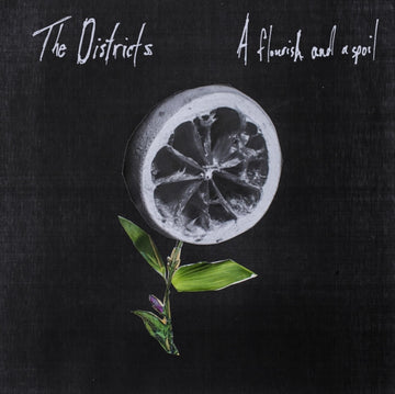 DISTRICTS | FLOURISH AND A SPOIL | VINYL RECORD (LP)