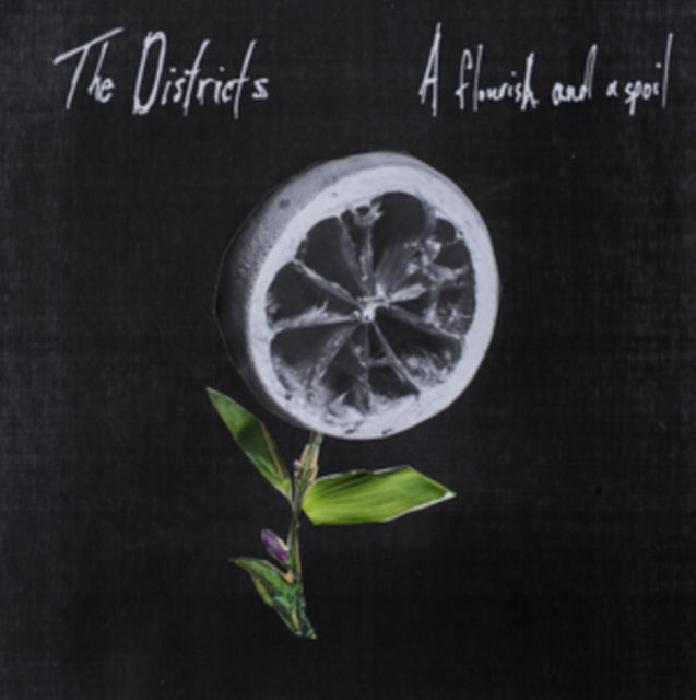DISTRICTS | FLOURISH AND SPOIL | VINYL RECORD (LP)