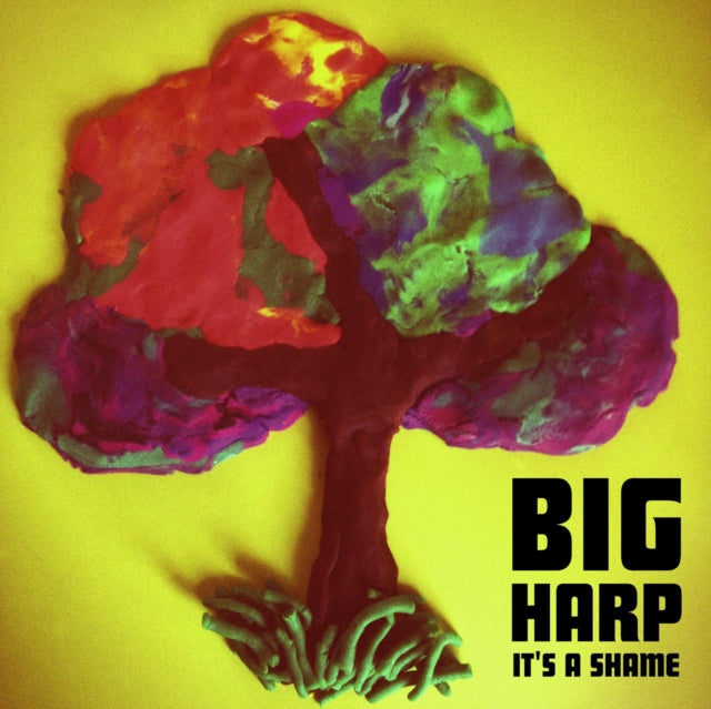 BIG HARP | IT'S A SHAME | 7IN VINYL
