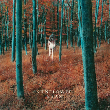 SUNFLOWER BEAN | I HEAR VOICES / STALKER | 7IN VINYL