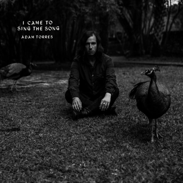 TORRES, ADAM | I CAME TO SING THE SONG | 7IN VINYL