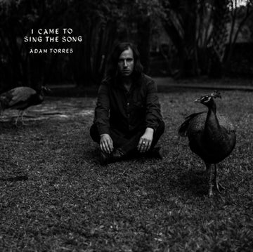 TORRES, ADAM | I CAME TO SING THE SONG | 7IN VINYL