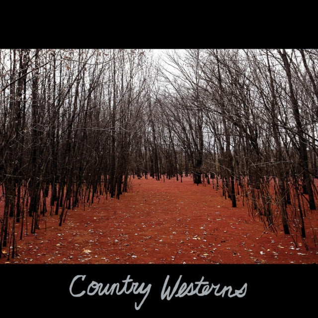 COUNTRY WESTERNS | COUNTRY WESTERNS | VINYL RECORD (LP)