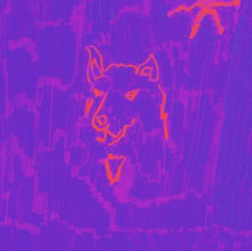 DEHD | POETRY | VINYL RECORD (LP)
