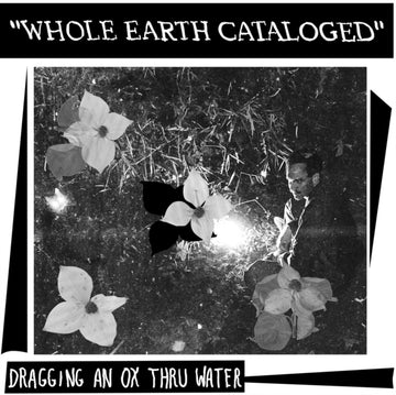 WHOLE EARTH CATALOGUED | VINYL RECORD (LP)