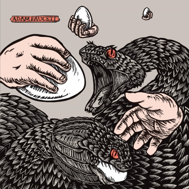 FAUCETT, ADAM | IT TOOK THE SHAPE OF A BIRD | VINYL RECORD (LP)