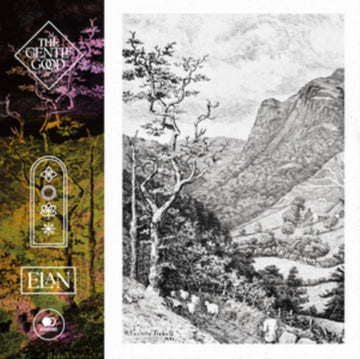 ELAN (IMPORT) | VINYL RECORD (LP)