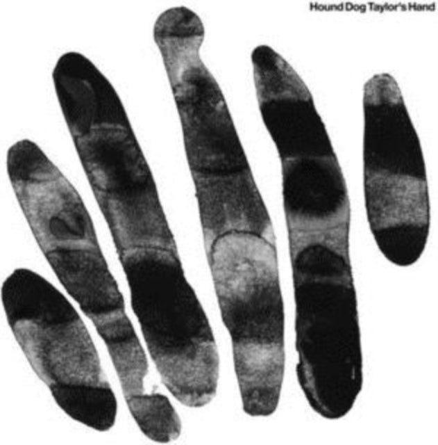 HOUND DOG TAYLOR'S HAND | HOUND DOG TAYLOR'S HAND | VINYL RECORD (LP)