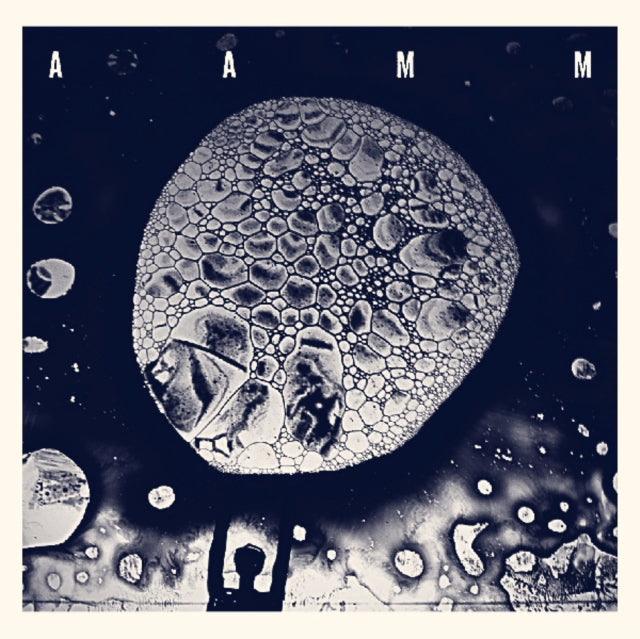 AAMM | TRIO & AMM | VINYL RECORD (LP)