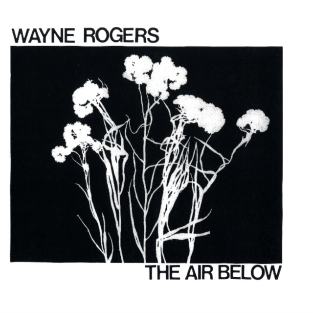 ROGERS, WAYNE | AIR BELOW | VINYL RECORD (LP)