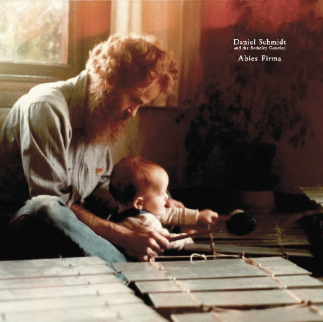 SCHMIDT, DANIEL | ABIES FIRMA | VINYL RECORD (LP)