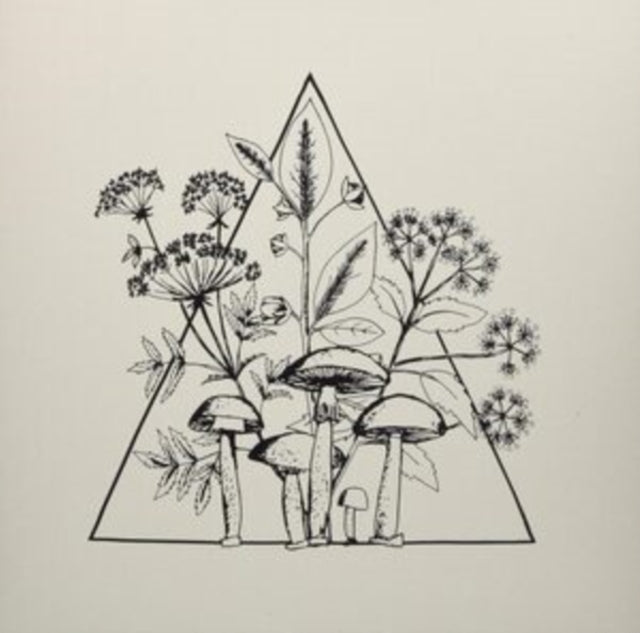 LES CONVERSIONS | CASSETTE | VINYL RECORD (LP)