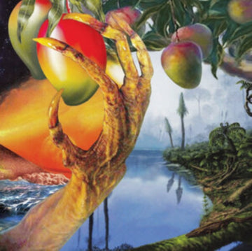 TIMELASH | MORPHOLOGY OF WONDERS | VINYL RECORD (LP)
