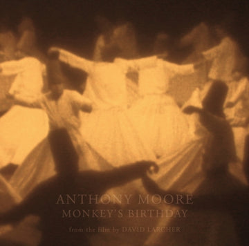 MONKEY'S BIRTHDAY | VINYL RECORD (LP)