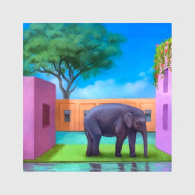 KOREA TOWN ACID | ELEPHANT IN THE ROOM | VINYL RECORD (LP)