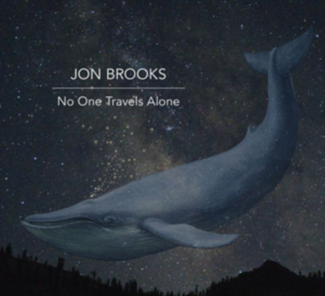 BROOKS, JON | NO ONE TRAVELS ALONE | VINYL RECORD (LP)