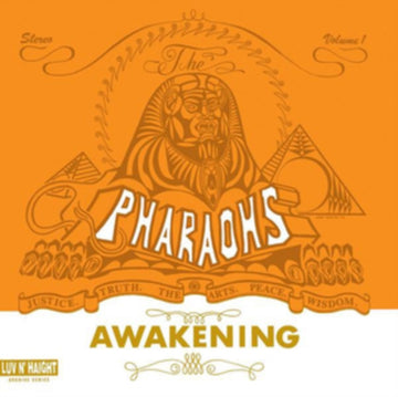 AWAKENING | VINYL RECORD (LP)