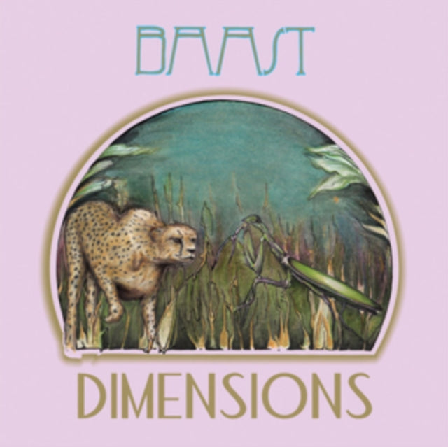 BAAST | DIMENSIONS | VINYL RECORD (LP)