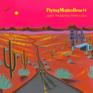 JUST PASSING THROUGH | VINYL RECORD (LP)