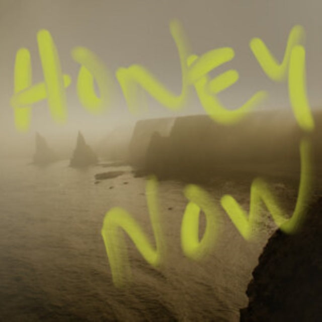 NEON WALTZ | HONEY NOW | VINYL RECORD (LP)