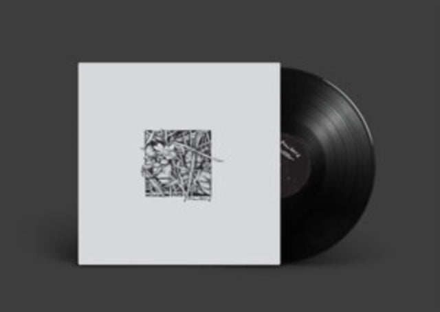 POWDERS | CONCEDE TO CIRCUMSTANCE | VINYL RECORD (LP)