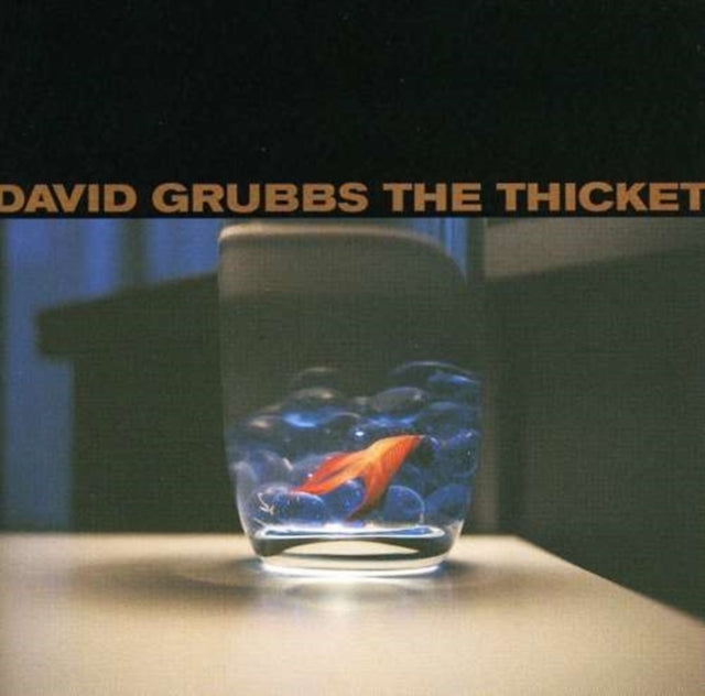 GRUBBS, DAVID | THICKET | CD