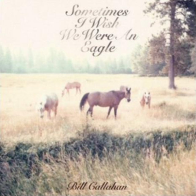 CALLAHAN, BILL | SOMETIMES I WISH WE WERE AN EAGLE | VINYL RECORD (LP)
