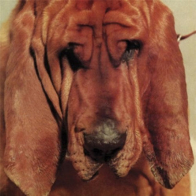 SEGALL, TY | GOODBYE BREAD | VINYL RECORD (LP)