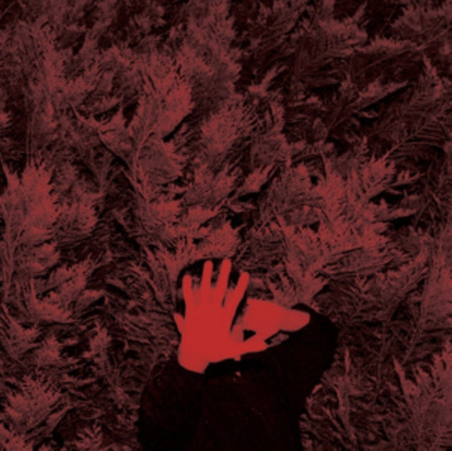 HANSON, CORY | UNBORN CAPITALIST FROM LIMBO | VINYL RECORD (LP)